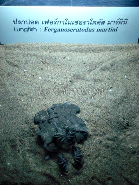 Museum221.JPG